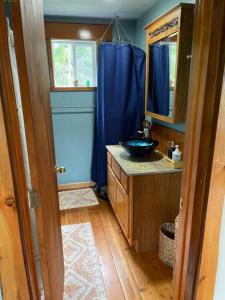uma casa de banho com um lavatório e um espelho em Riverfront Getaway on the Wild and Scenic em Sedro-Woolley