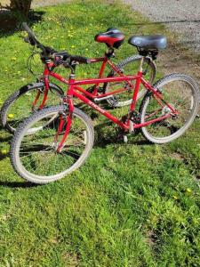 Sedro-WoolleyにあるRiverfront Getaway on the Wild and Scenicの赤い自転車が芝生に停められている