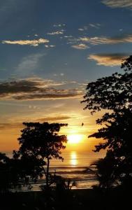 a sunset over the ocean with two trees in the foreground at Apartahotel & Gym Rondon in Tortuguero