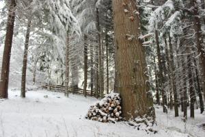 una pila de setas en un árbol en la nieve en Cabaña Llavu Lemu en San Carlos de Bariloche