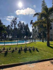 un parc avec une piscine et des palmiers dans l'établissement Hermoso departamento en Algarrobo, à San Antonio
