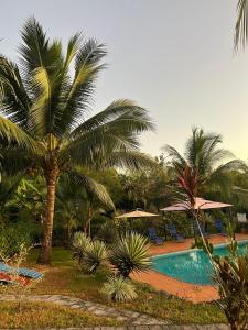uma piscina de resort com palmeiras e guarda-sóis em Residence Las Lajas em Las Lajas