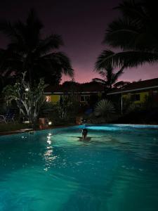 un perro nadando en una piscina por la noche en Residence Las Lajas en Las Lajas