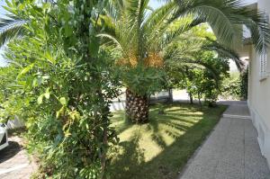 Zahrada ubytování Apartmani Trogir