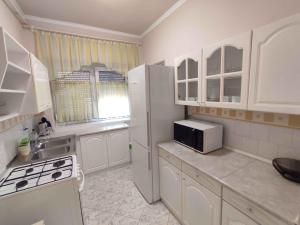 Dapur atau dapur kecil di Apartment in Balatonszemes 45329