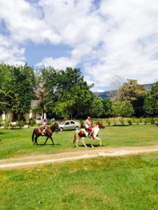 dos personas montando caballos en un camino de tierra en Finca El Tesoro, en Carmen de Apicalá