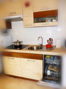 a kitchen with a sink and a dishwasher at Ditton apartment city center in Daugavpils +24 photos