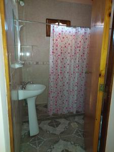 a bathroom with a shower curtain and a sink at ALDAO in Malargüe