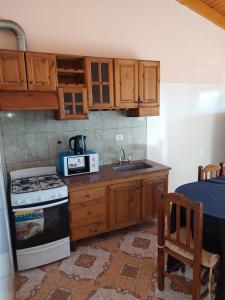 a kitchen with wooden cabinets and a stove and a sink at ALDAO in Malargüe
