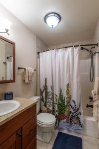 La salle de bains est pourvue de toilettes et d'un rideau de douche. dans l'établissement Escape To Ptarmigan Village 72, à Whitefish