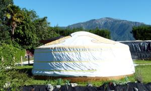 a large dome tent in a field with mountains in the background at Wacky Stays - unique farm-stay glamping rentals, FREE animal feeding tours in Kaikoura