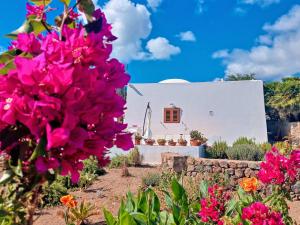 ein weißes Haus mit Blumen davor in der Unterkunft Dammuso Pantelleria - Fiori D'Ossidiana in Pantelleria