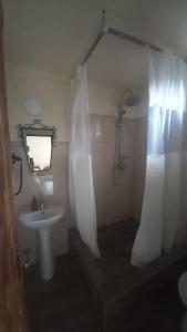 La salle de bains est pourvue d'un lavabo et d'une douche avec un miroir. dans l'établissement Cabanuta Ancutei, à Rucăr