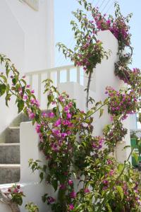 Un mazzo di fiori viola su una scala di Korali Hotel a Città di Antiparo