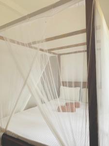 a bunk bed with white mosquito netting on it at Surf Home Stay Hiriketiya in Hiriketiya