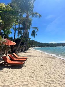 a beach with chairs and palm trees and the ocean at Casa Cactus in Amphoe Koksamui