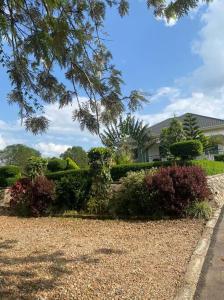 una casa con un patio con arbustos y árboles en Orchard Home Homestay, en Mbarara