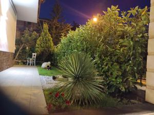 a garden at night with a dog laying in the grass at La Pigna dell'Etna in Nicolosi