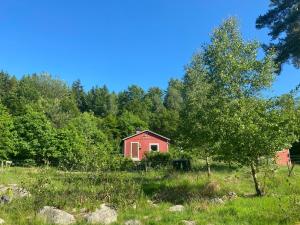 une grange rouge dans un champ planté d'arbres dans l'établissement Ullstorps Stugor, à Höör