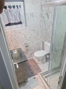 a bathroom with a toilet and a glass shower at Apartman LANA 2023 in Arandjelovac +18 photos