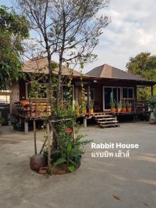 a house with a tree in front of it at Rabbit House in Ban Han Tra Fang Nua