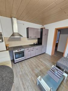 eine Küche mit Küchengeräten aus Edelstahl in einem Zimmer in der Unterkunft Ferienwohnung Kehrer in Schwarzenberg