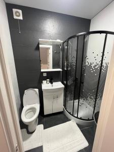 a small bathroom with a toilet and a shower at Apartamets rent Edinet-аренда квартир единец in Edineţ