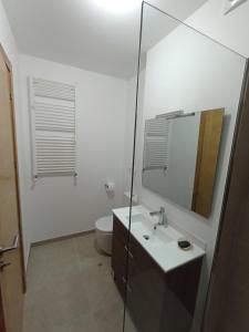 La salle de bains est pourvue d'un lavabo, d'un miroir et de toilettes. dans l'établissement Acogedor , cerca del puerto en camino portugués costa, à A Guarda