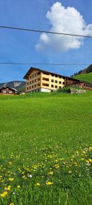 ein großes Grasfeld mit einem Gebäude im Hintergrund in der Unterkunft Ferienwohnung BergTraum in Schoppernau