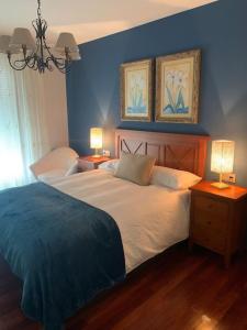 1 dormitorio con 1 cama con paredes azules y 2 lámparas en Piso de la pala, en Pontevedra
