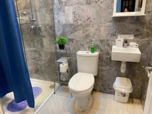 een badkamer met een toilet, een douche en een wastafel bij CHARLES INN in Liverpool