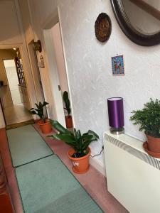 Fotografie z fotogalerie ubytování CHARLES INN v destinaci Liverpool