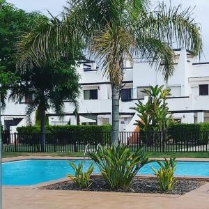 eine Palme und ein Pool vor einem Gebäude in der Unterkunft Condado de alhama, naranjos 8 in El Romero