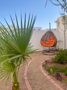uma planta e uma cadeira laranja num jardim em Tranquilo Boutique Hostel - Dahab em Dahab