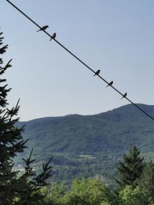 a wire with mountains in the background at Cottage House Official in Niš