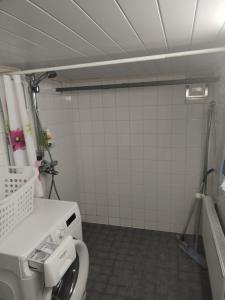 a bathroom with a toilet with a washing machine at Perniön majoitus alakerta in Perniö