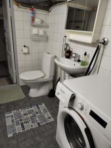 a bathroom with a washing machine and a sink at Perniön majoitus alakerta in Perniö