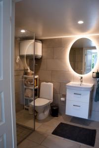 a bathroom with a toilet and a sink and a mirror at Your own 30sqm house with kitchen, sauna and loft. in Malmö