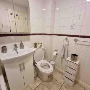 een witte badkamer met een toilet en een wastafel bij cosy one bed Mill hill in Hendon