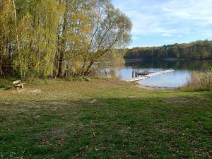 a park with a dock and a bench on a lake at Ferienwohnung am Kronhof in Lychen