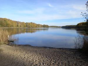 una panchina sulla riva di un lago di Ferienwohnung am Kronhof a Lychen