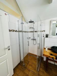 a bathroom with a shower and a sink at Ferienhaus Alte Schmiede in Kirchhain