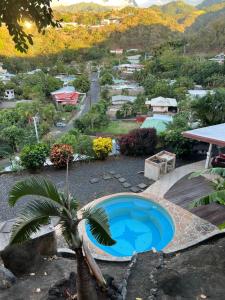 een klein zwembad in een tuin met een palmboom bij Studio proche centre ville Papeete in Papeete