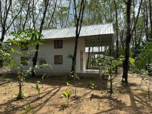 Gallery image of Rabbit Bungalow in Ko Phayam