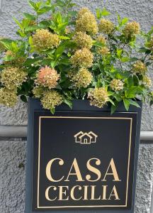 韦齐孔Casa Cecilia的相册照片