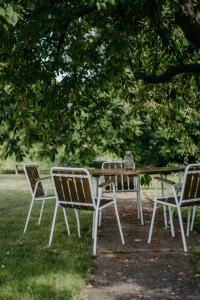 A garden outside Ferienwohnung Morgensonne