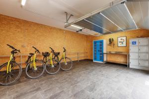 eine Gruppe von Fahrrädern, die in einem Zimmer geparkt sind in der Unterkunft Ferienwohnung Fischzucht - Sauna, große Dachterrasse, 3 Schlafzimmer - by homekeepers in Würzburg