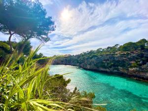 a view of a river with blue water and trees at Stella Maris in Cala Pi