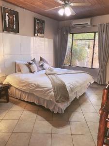 Un dormitorio con una cama grande y una ventana en The Wilds Lodge, en Kuruman