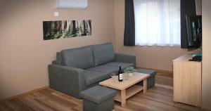 TV a/nebo společenská místnost v ubytování Sunset Bogács